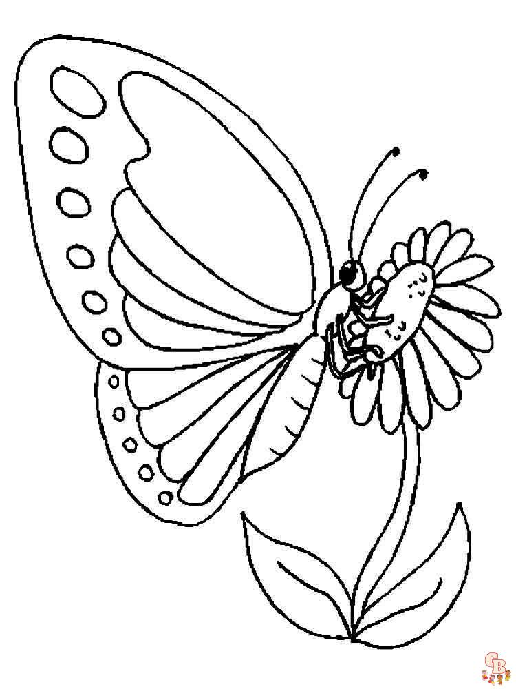 Butterfly Coloriage
