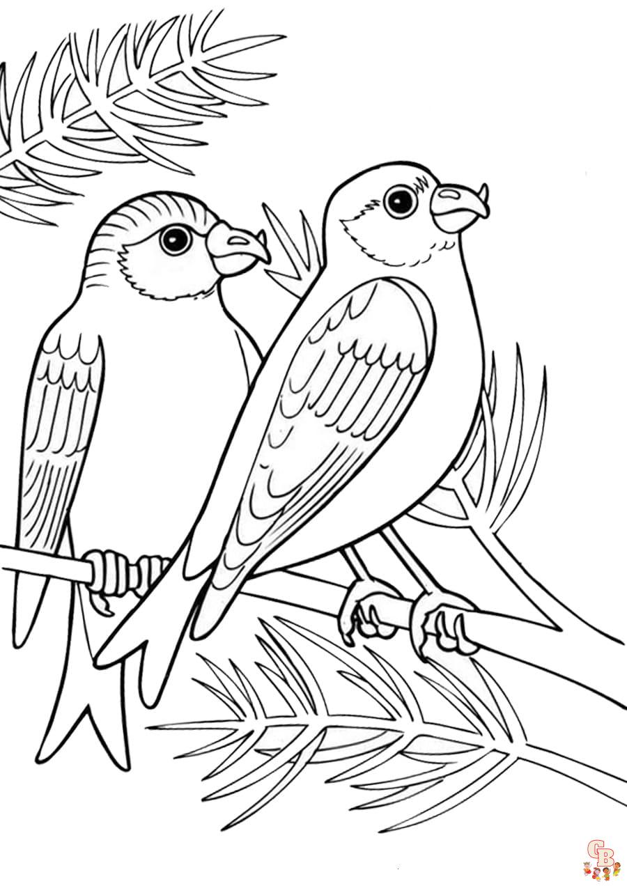 Coloriage oiseau Modèles réalistes, exotiques et mignons à colorier pour enfants